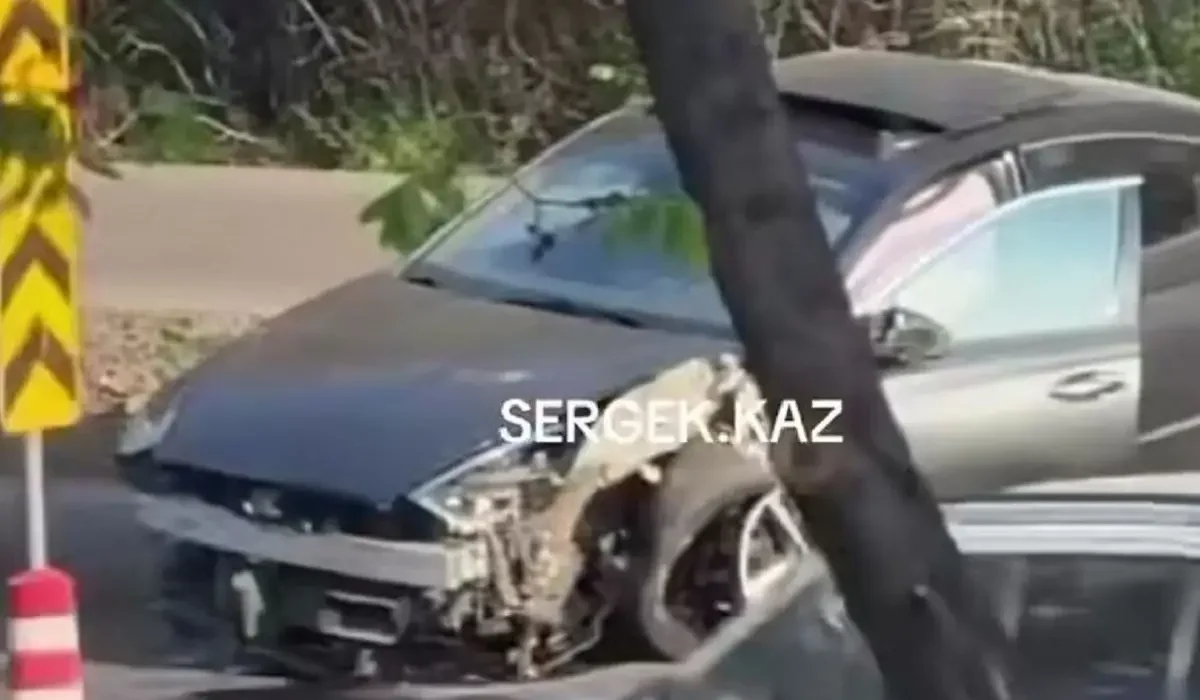 Фото: видео скриншот