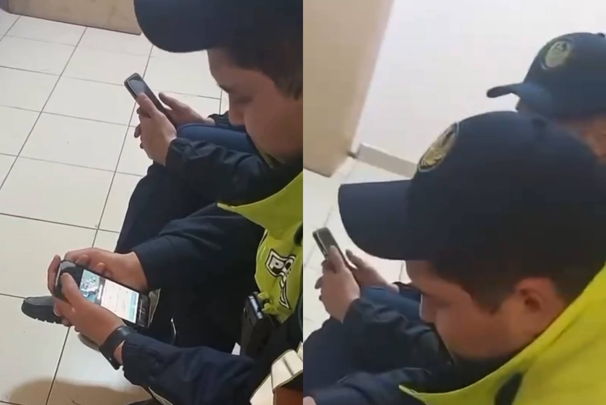 Фото: видеодан скриншот