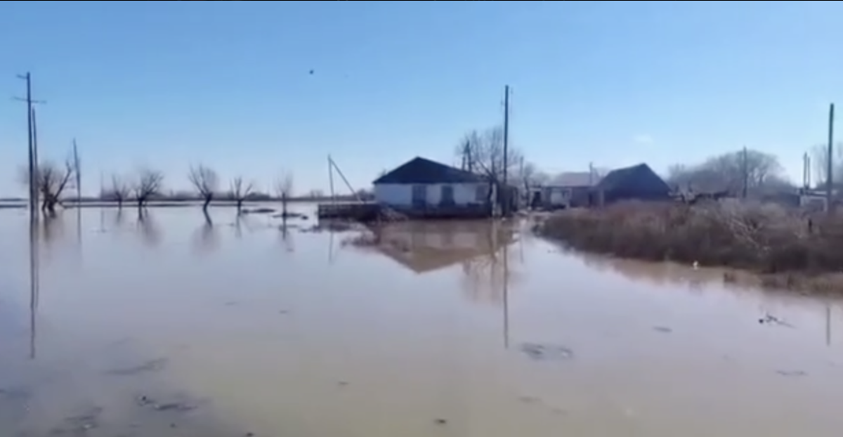 Фото: видео скриншот