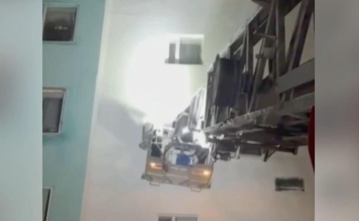 Фото: видео скриншот