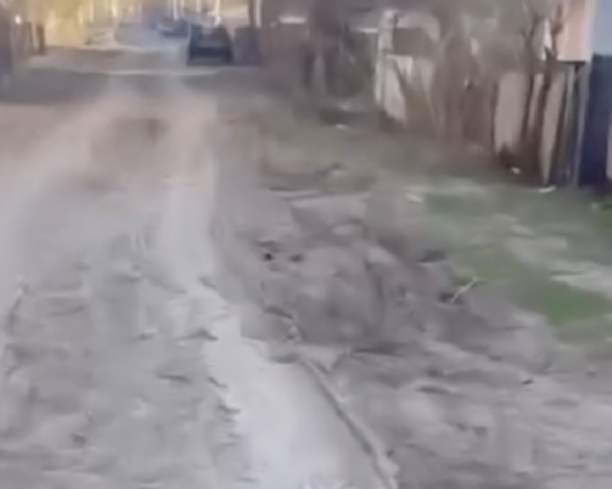 Фото: Бейнежазбадан