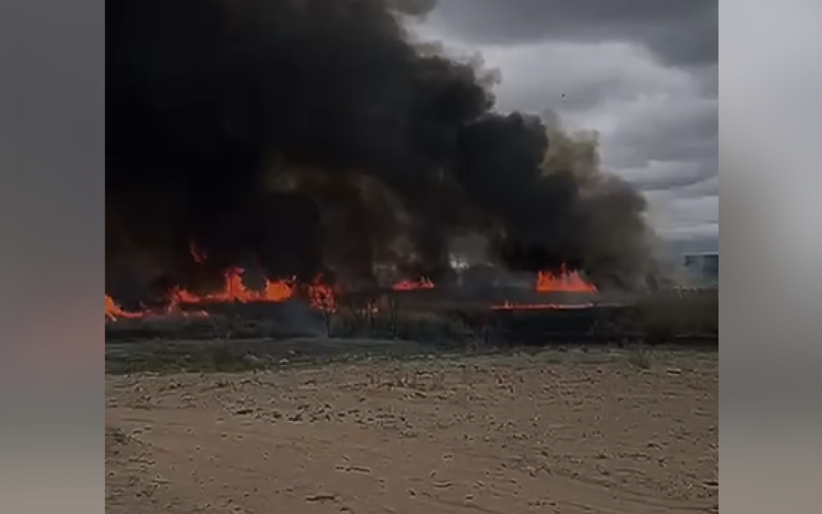 Фото: видеодан скрин