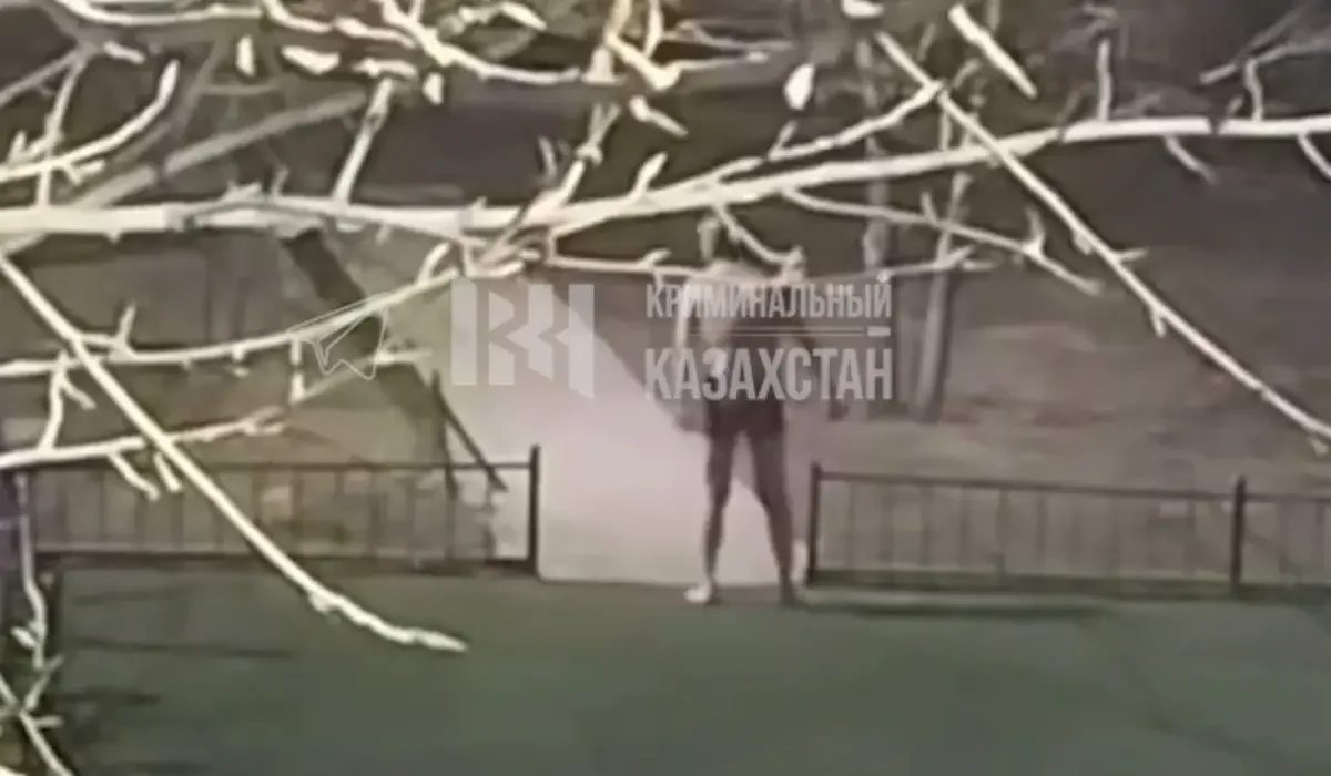 Фото: видеодан скриншот