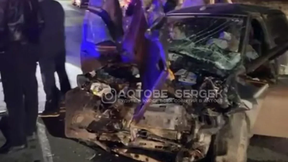 Фото: видео сркиншот