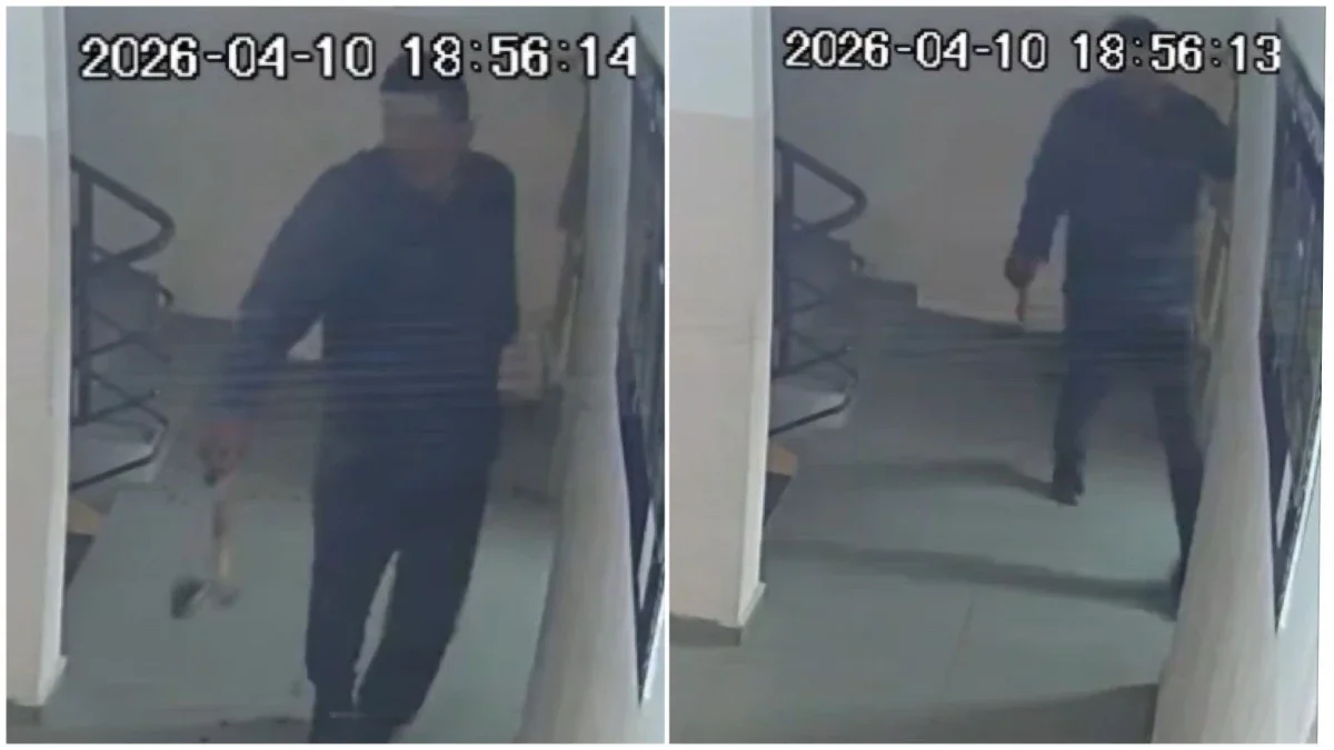 Фото: видео скриншот