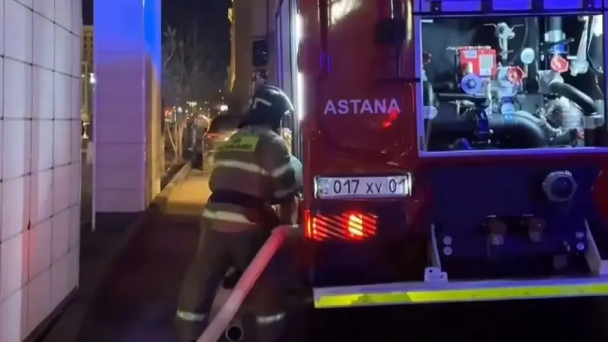 Фото: видеодан скриншот