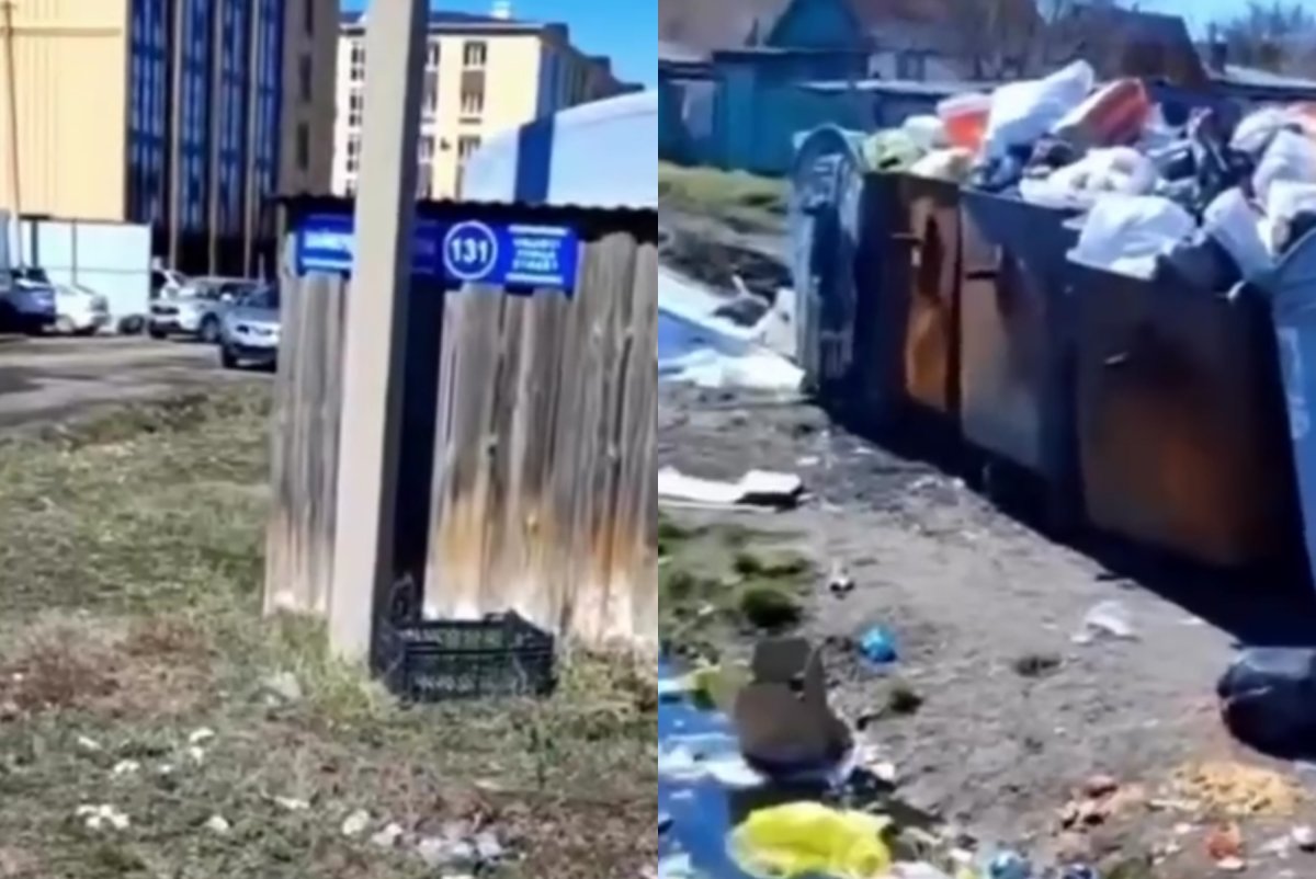 Фото: видеодан скрин