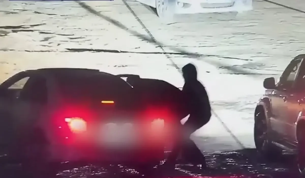 Фото: видео скриншот