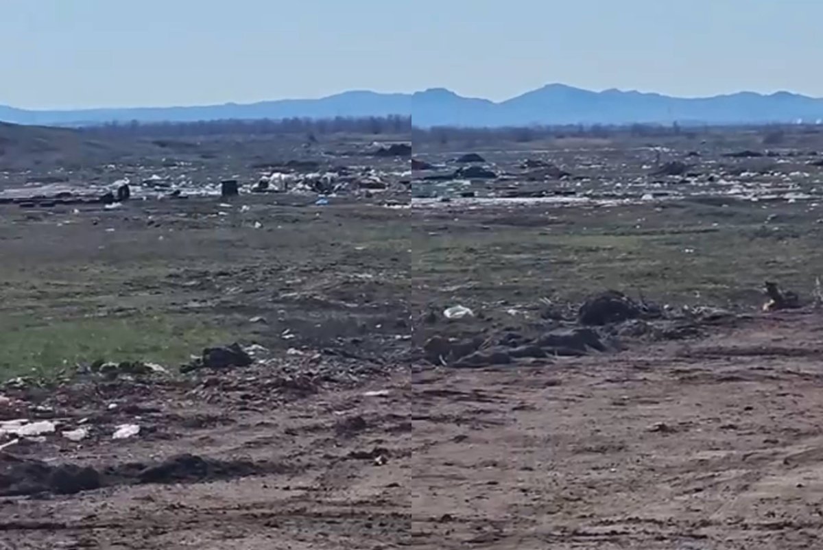 Фото: видеодан скриншот