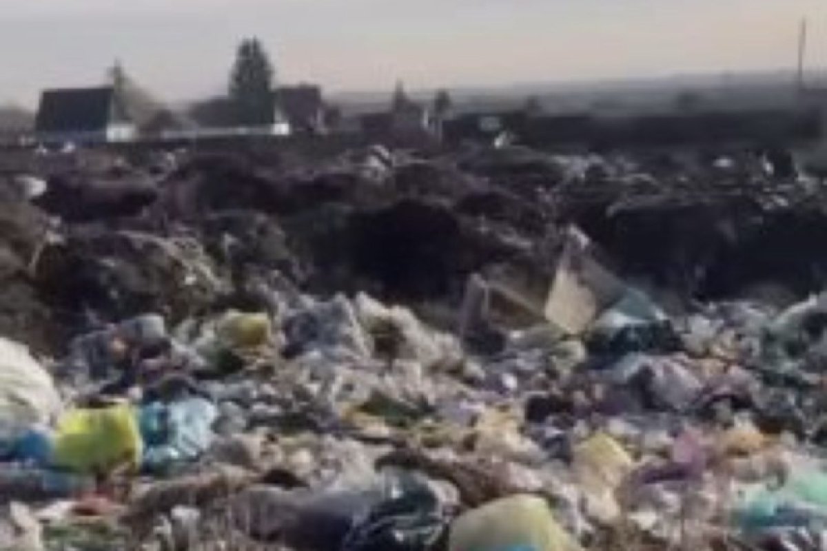 Фото: видеодан скрин