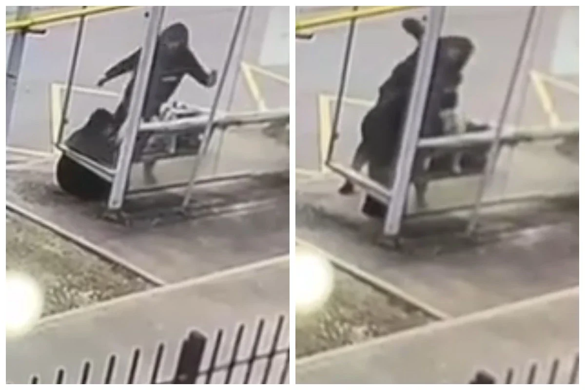 Фото: видео скриншот