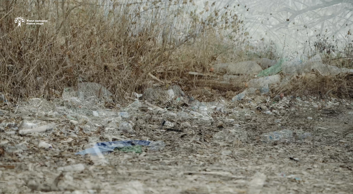 Фото: видео скриншот