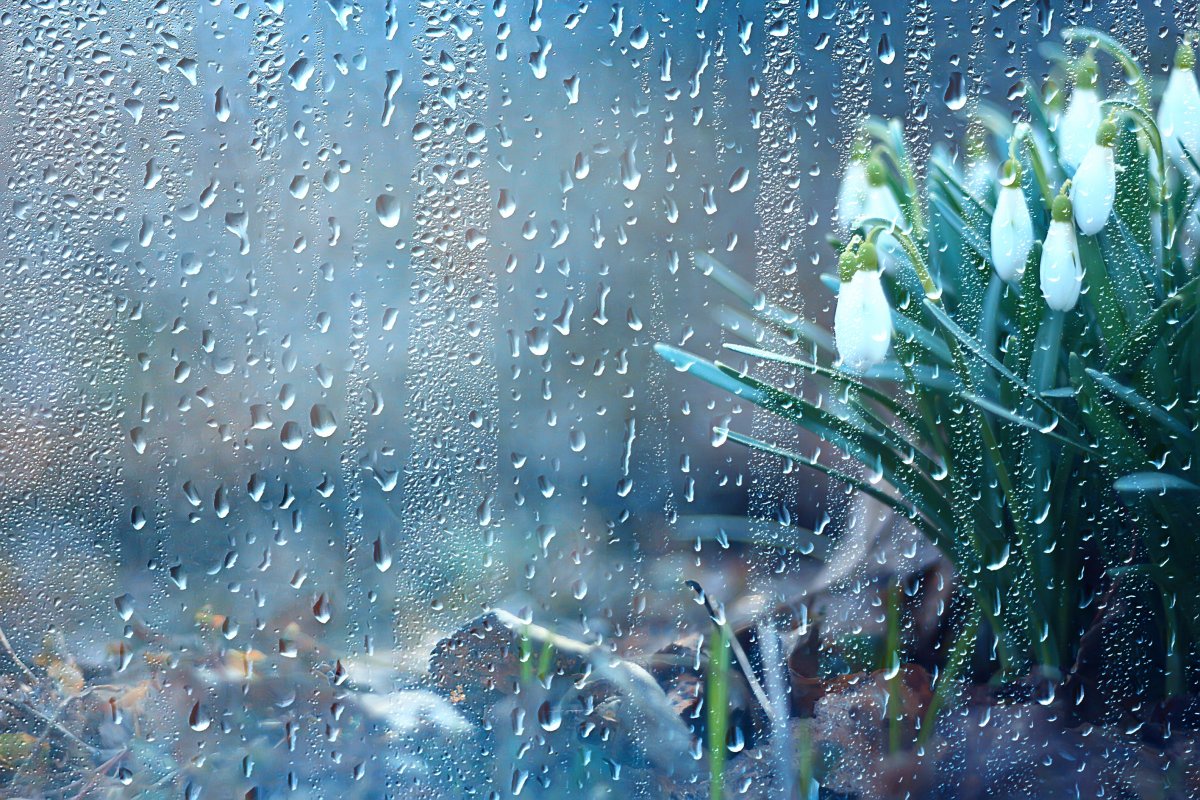 Фото: depositphotos.com