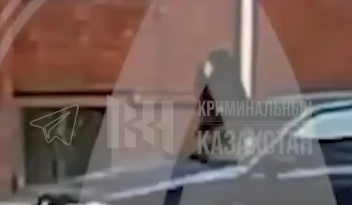 Фото: видео скриншот