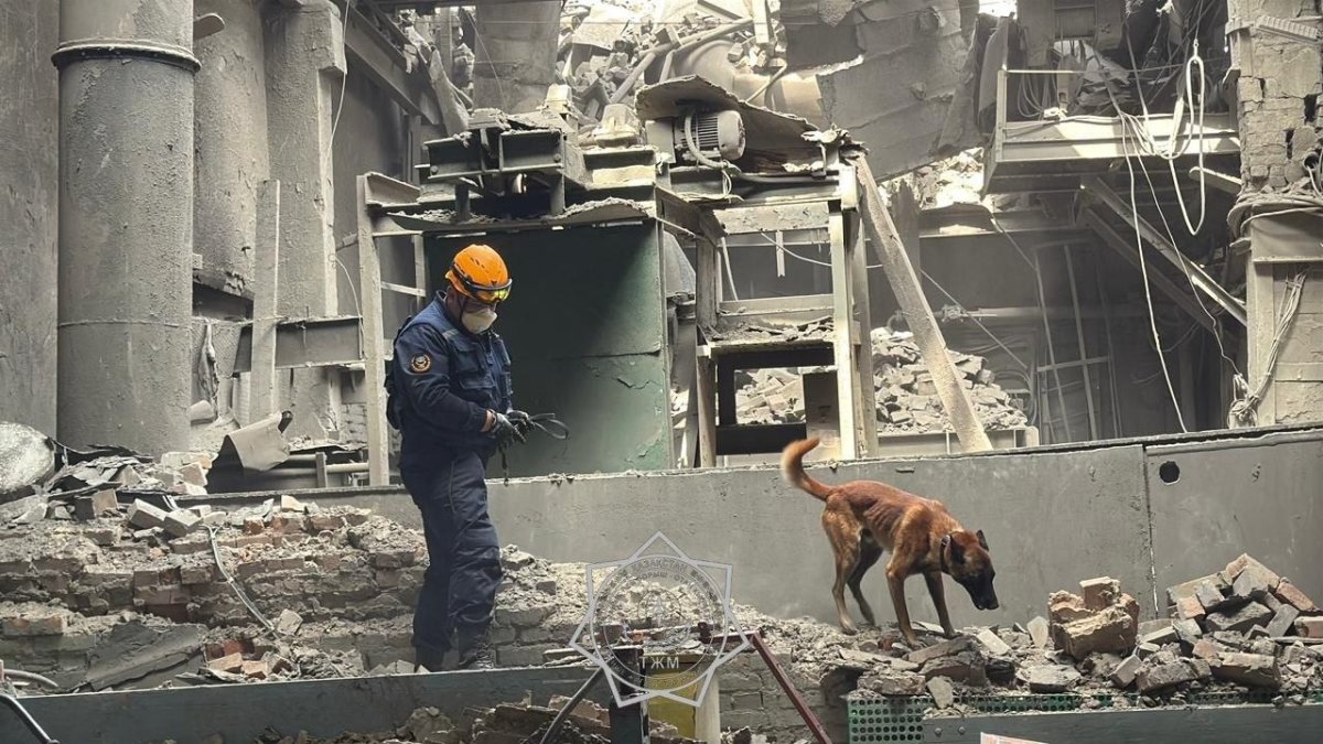 Фото: ТЖМ