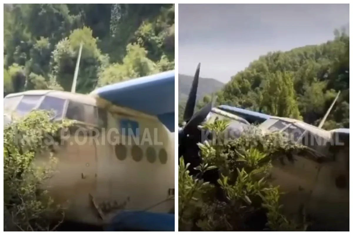 Фото: видео скриншот