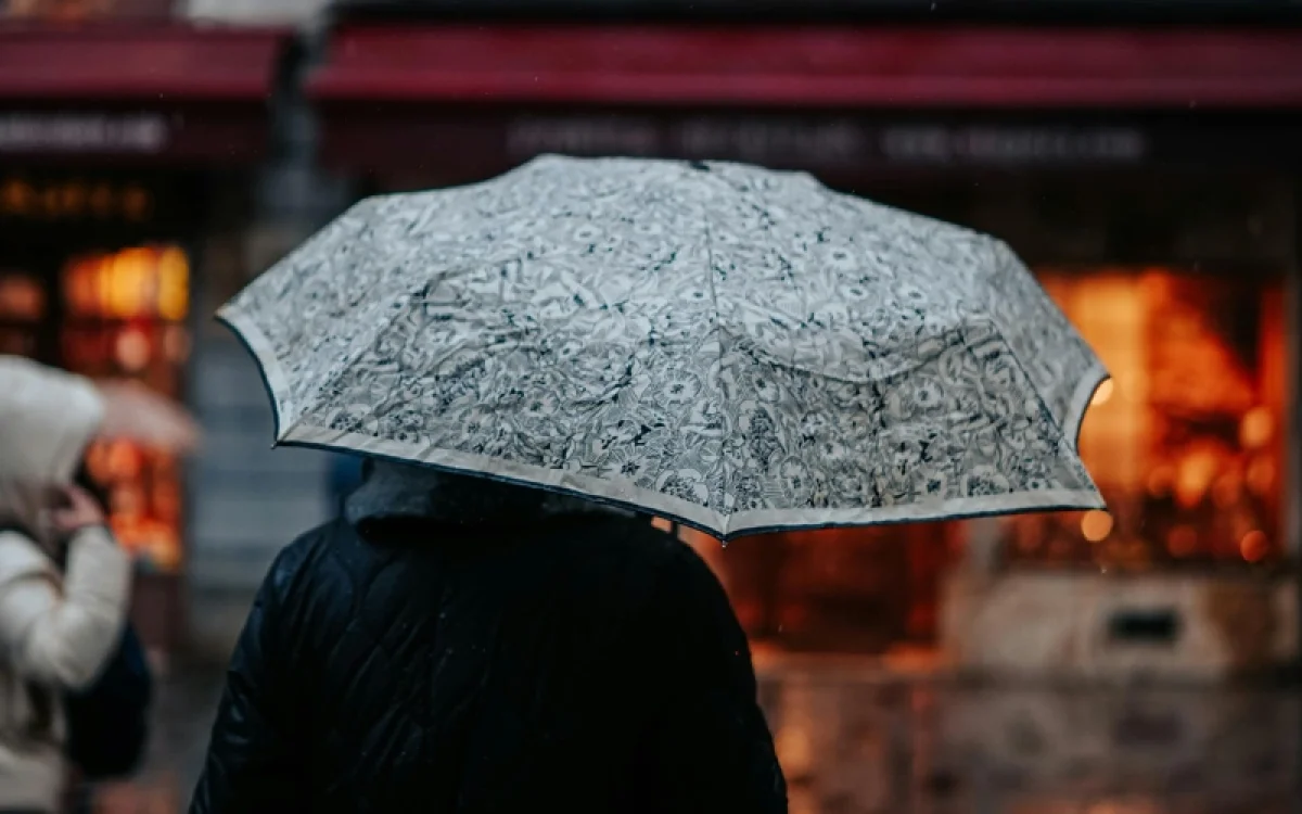 Фото: pexels