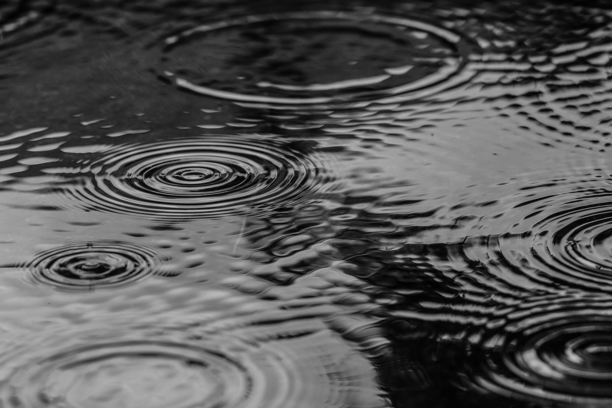Фото: Pixabay