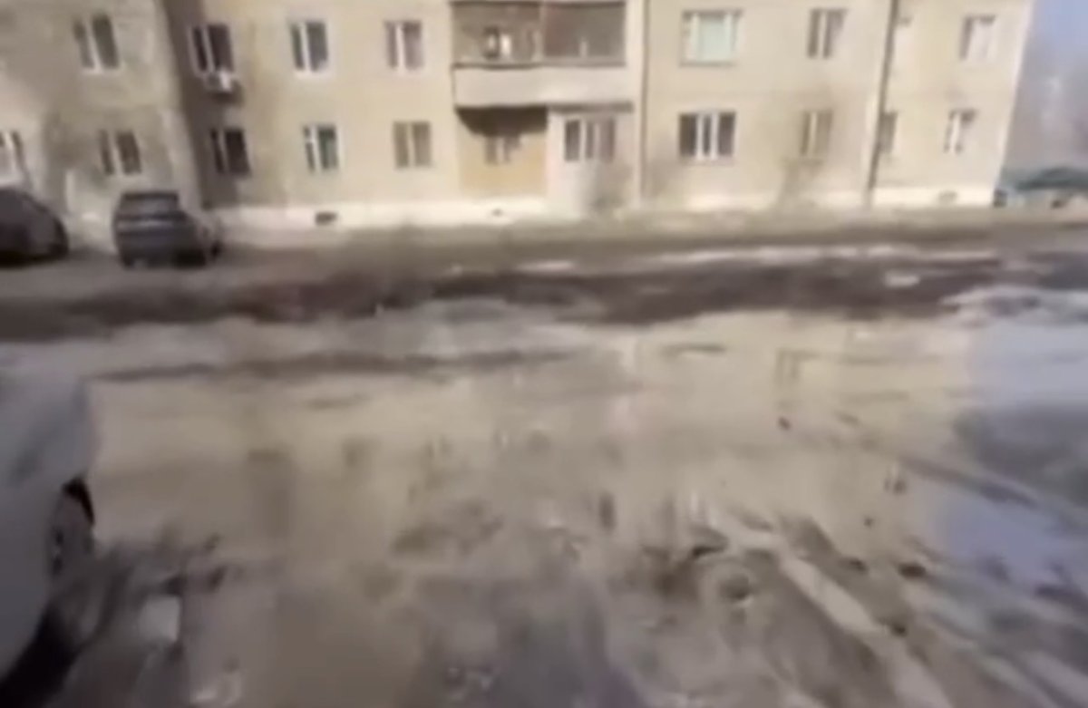 Фото: видеодан скрин