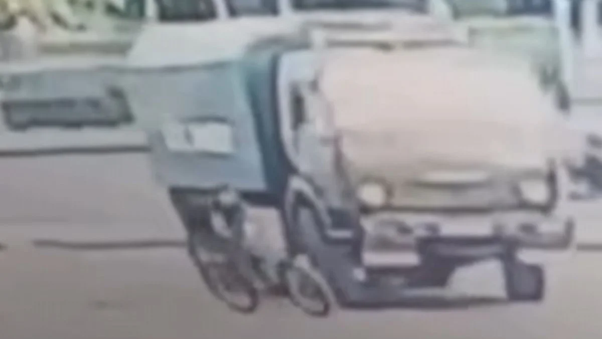 Фото: видео скриншот