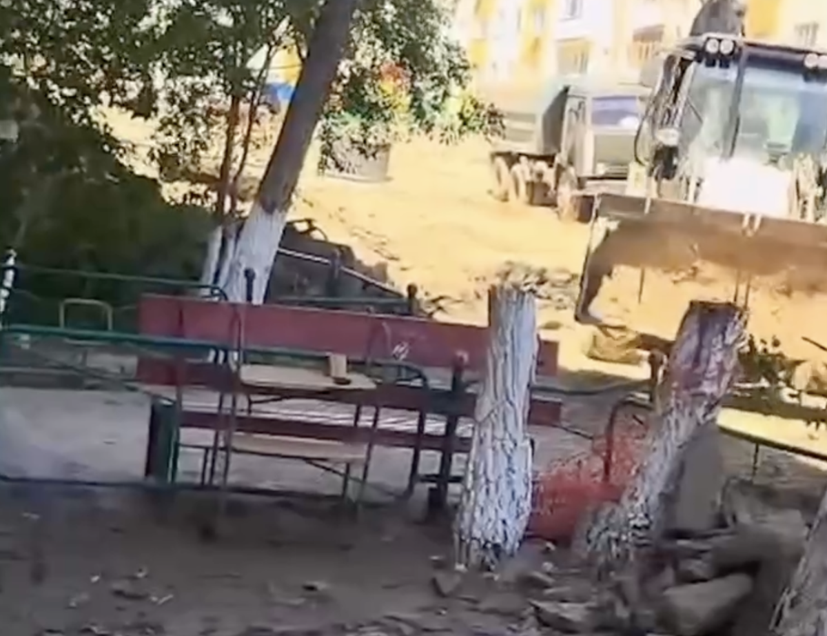 Фото: видео скриншот