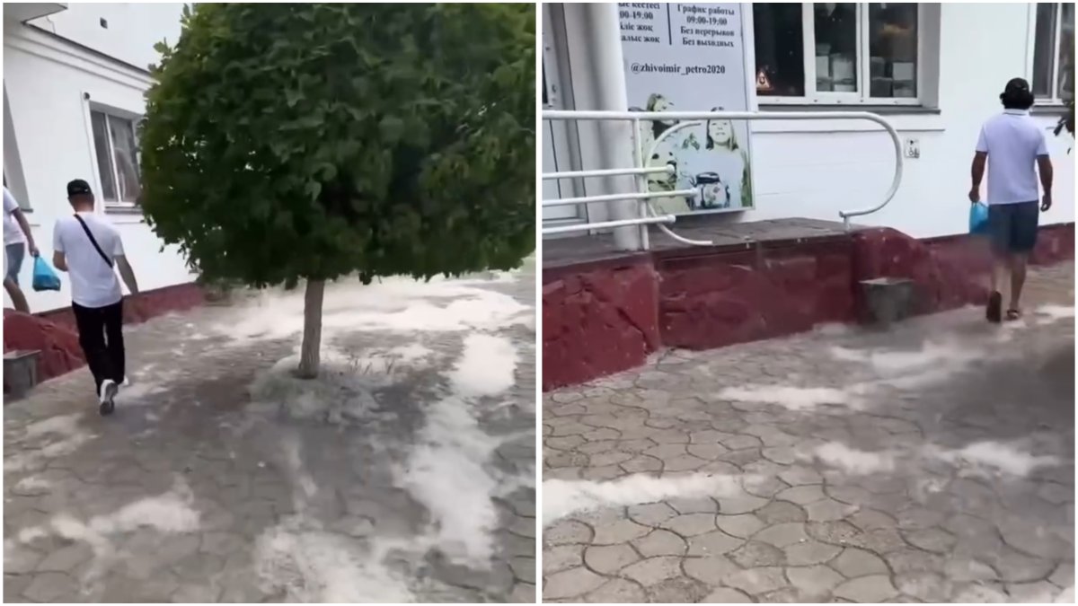 Фото: видео скриншот