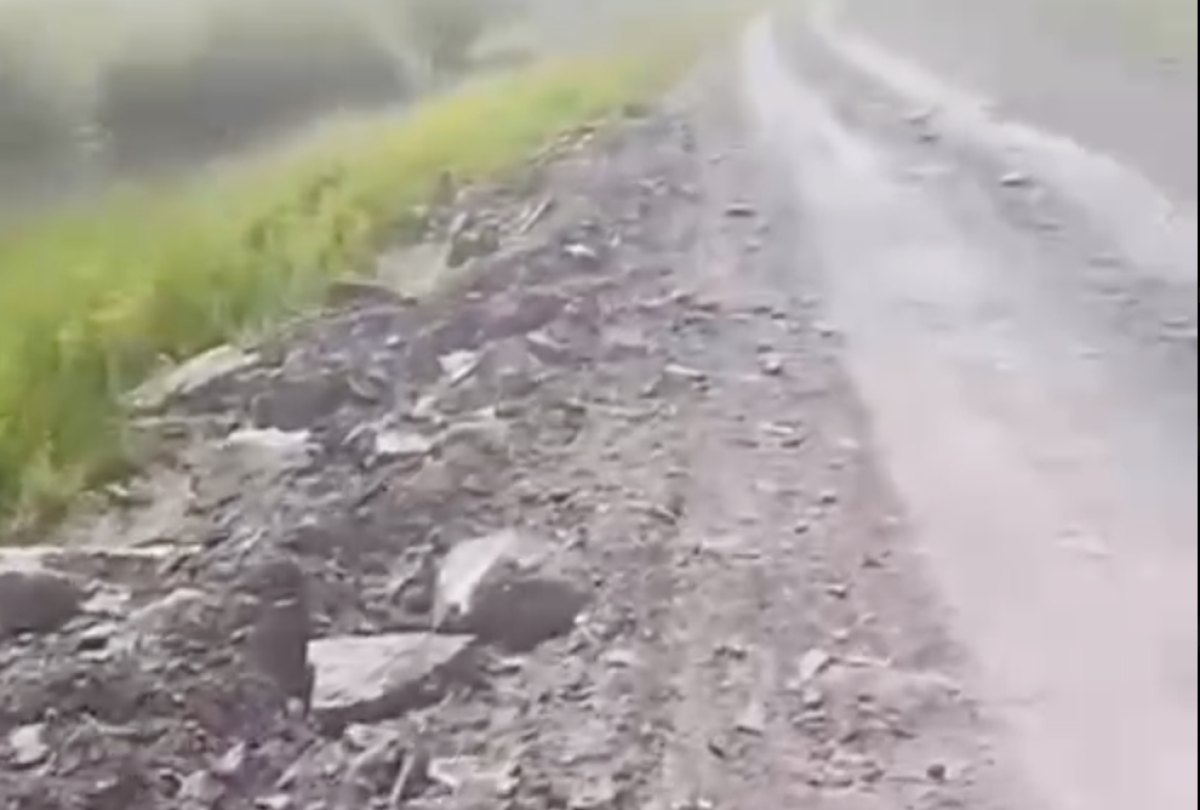 Фото: видео скриншот