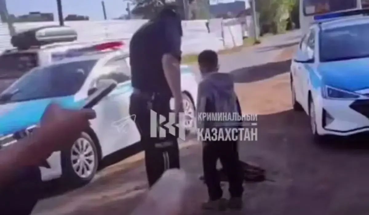 Фото: видеодан скриншот