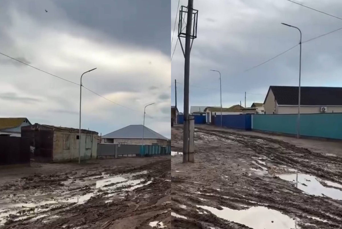 Фото: видеодан скриншот