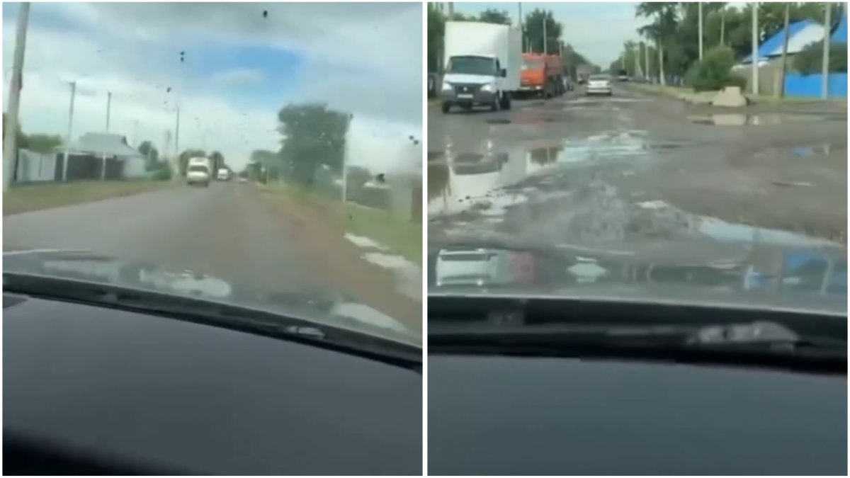 Фото: видео скриншот
