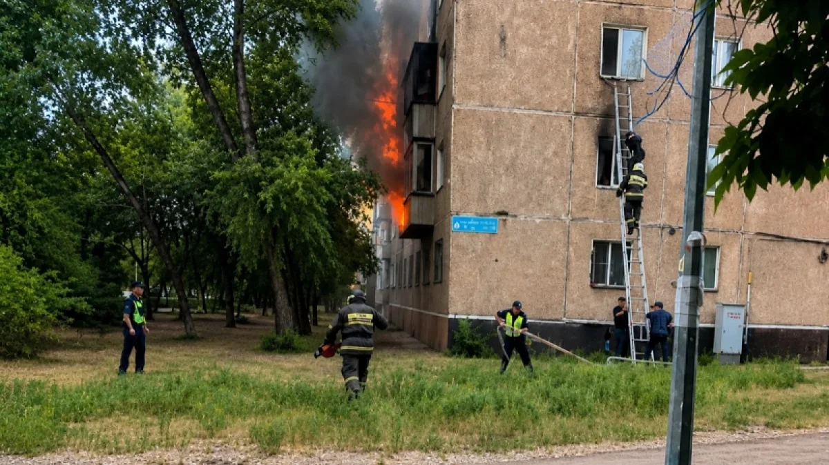 Фото: видео скриншот