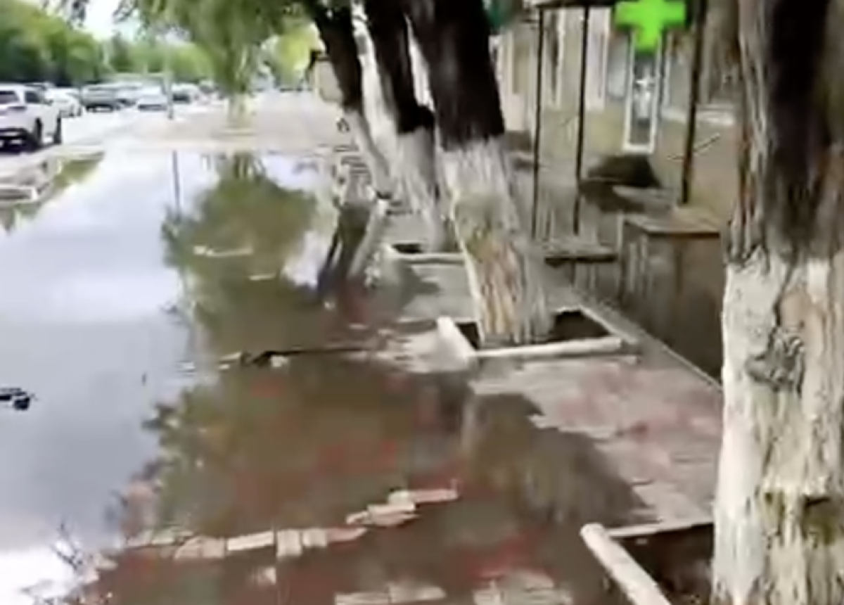 Фото: видео скриншот