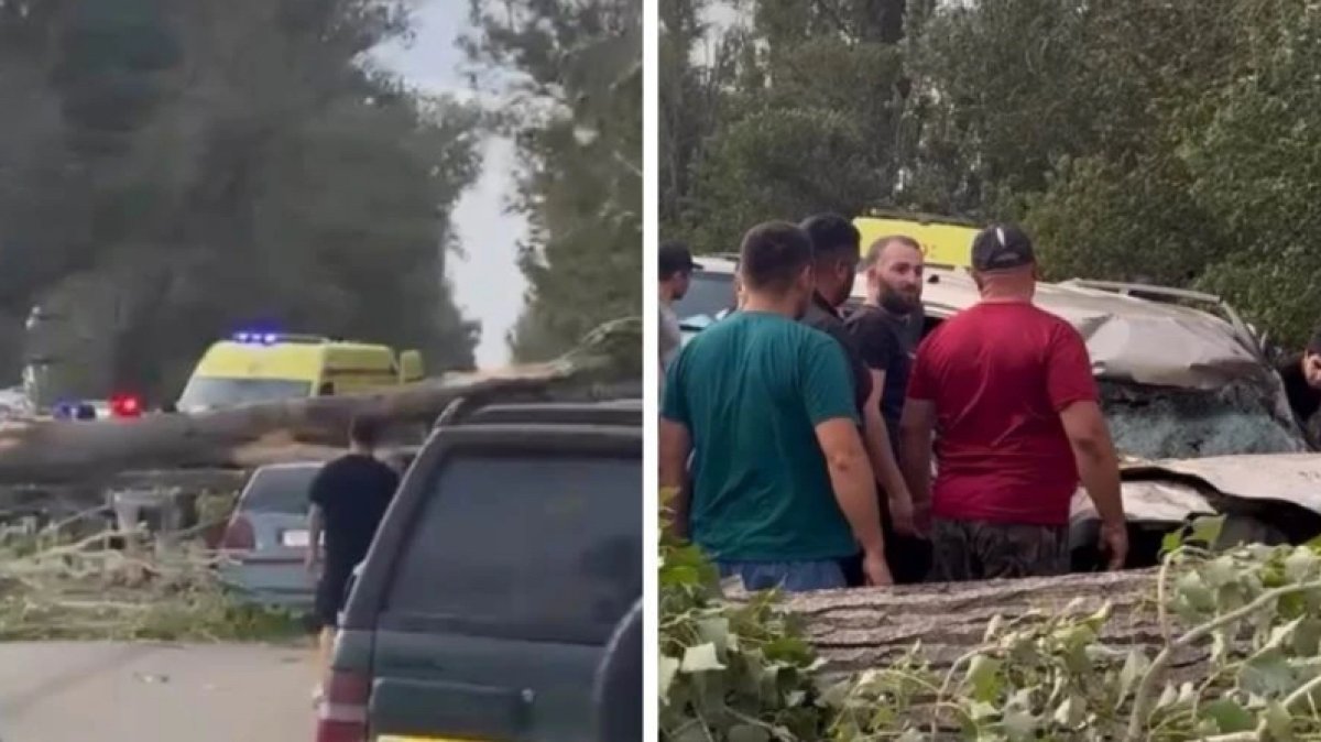 Фото: Видеодан алынған кадр