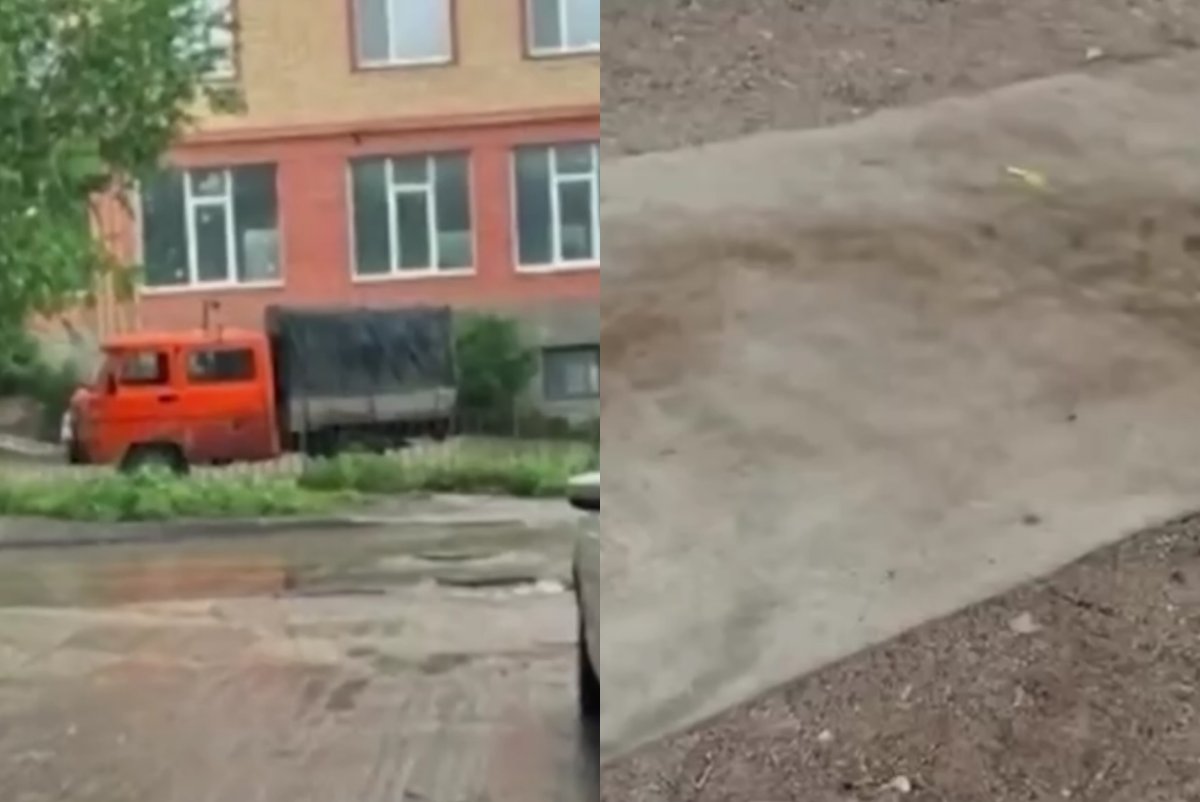 Фото: Видеодан скрин