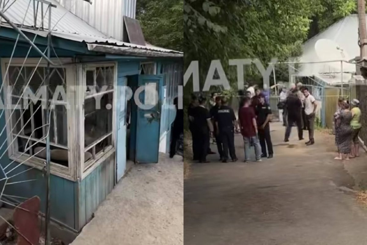 Фото: видеодан скриншот
