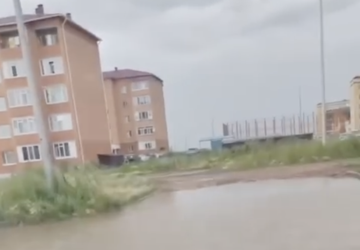 Фото: видео скриншот