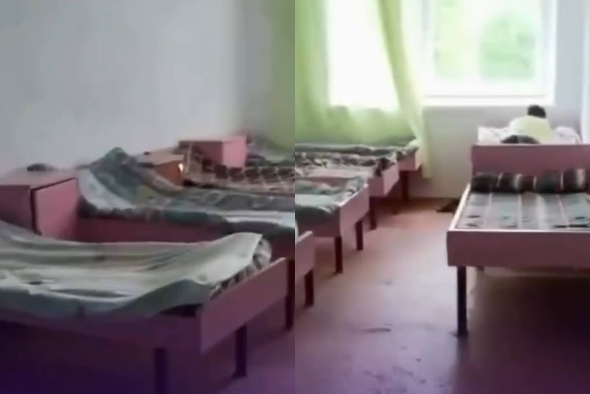 Фото: видеодан скриншот
