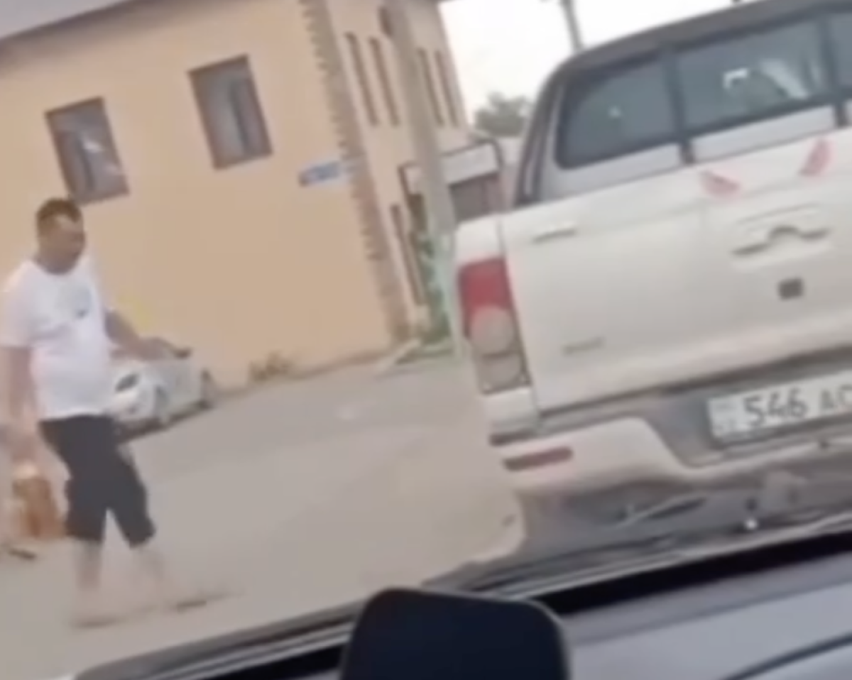 Фото: видео скриншот