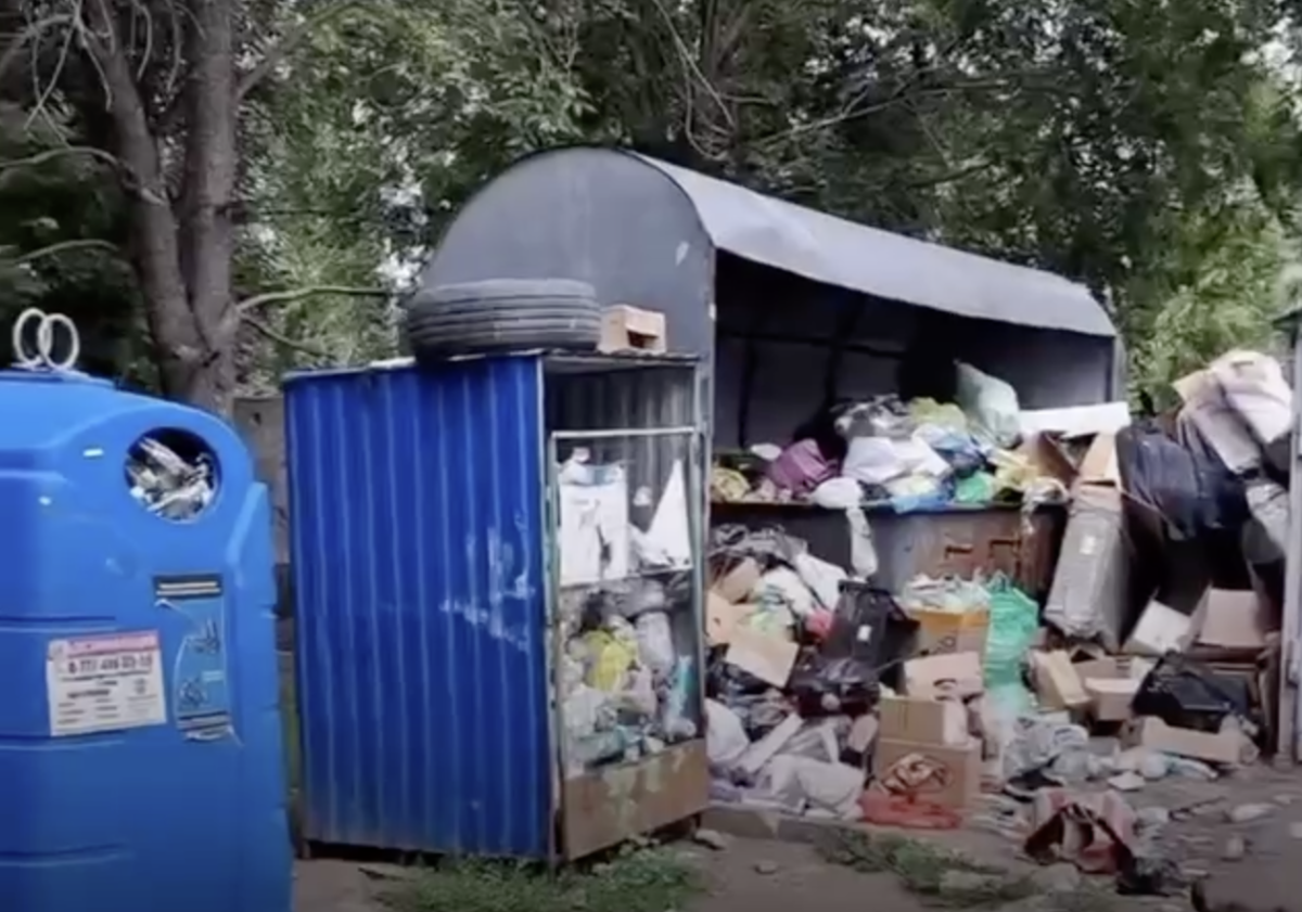 Фото: видео скриншот