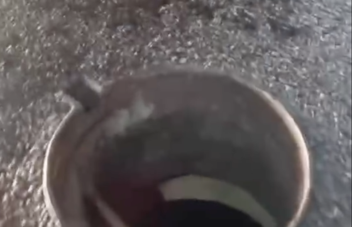 Фото: видео скриншот