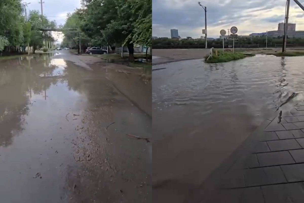 Фото: видеодан скриншот