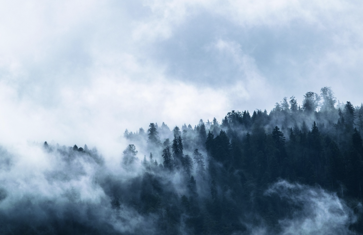 Фото: Pixabay