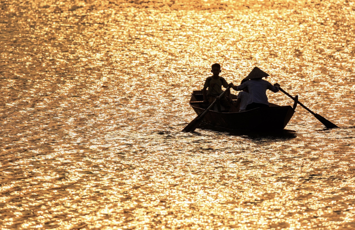 Фото: Pixabay