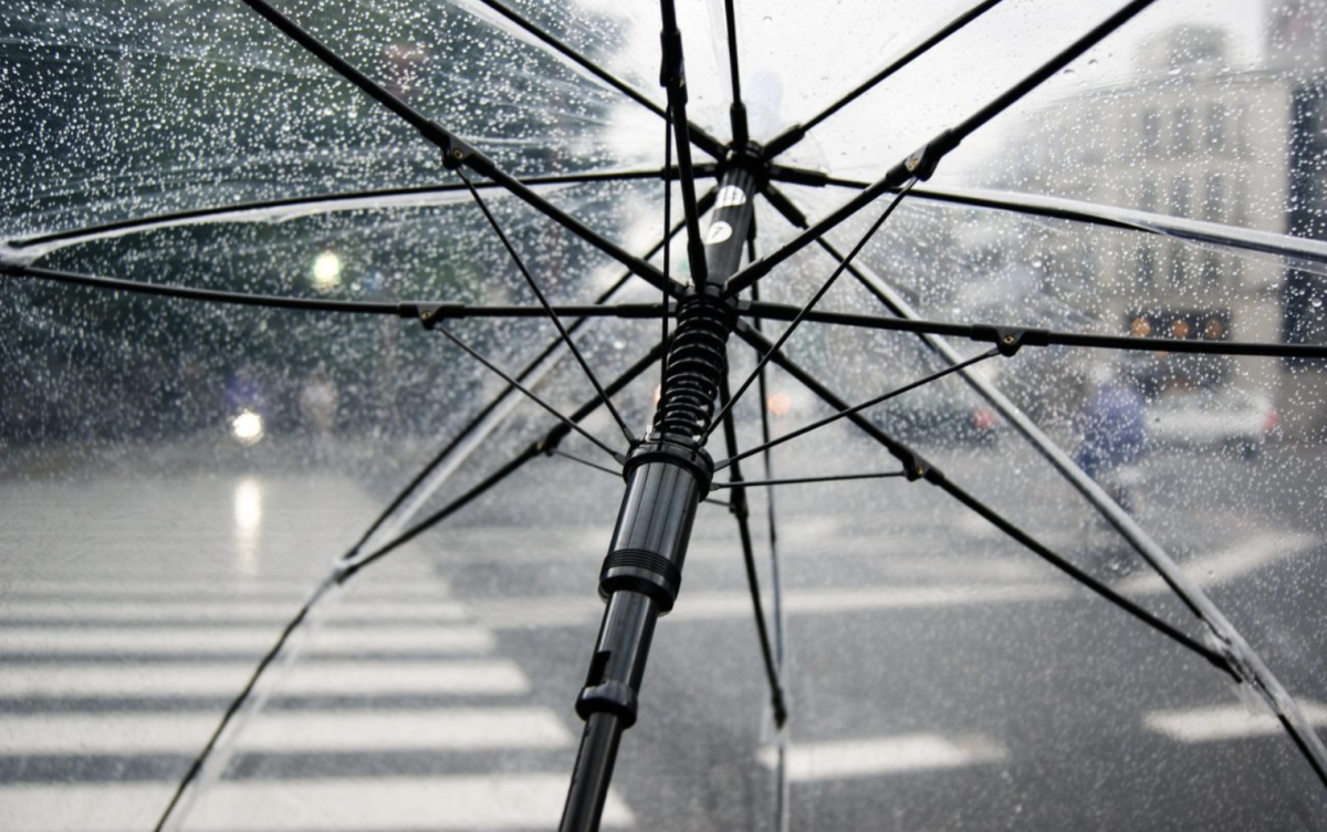Фото: Pixabay