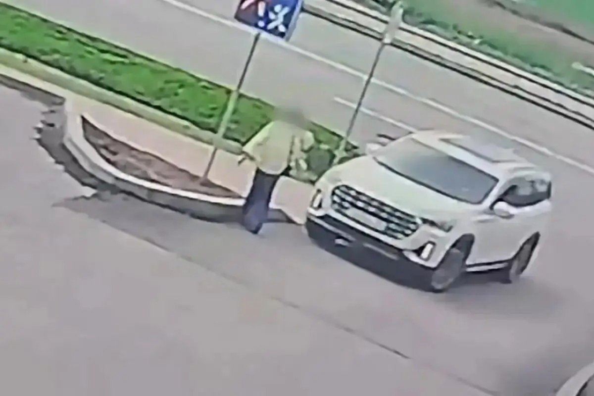 Фото: видео скриншот