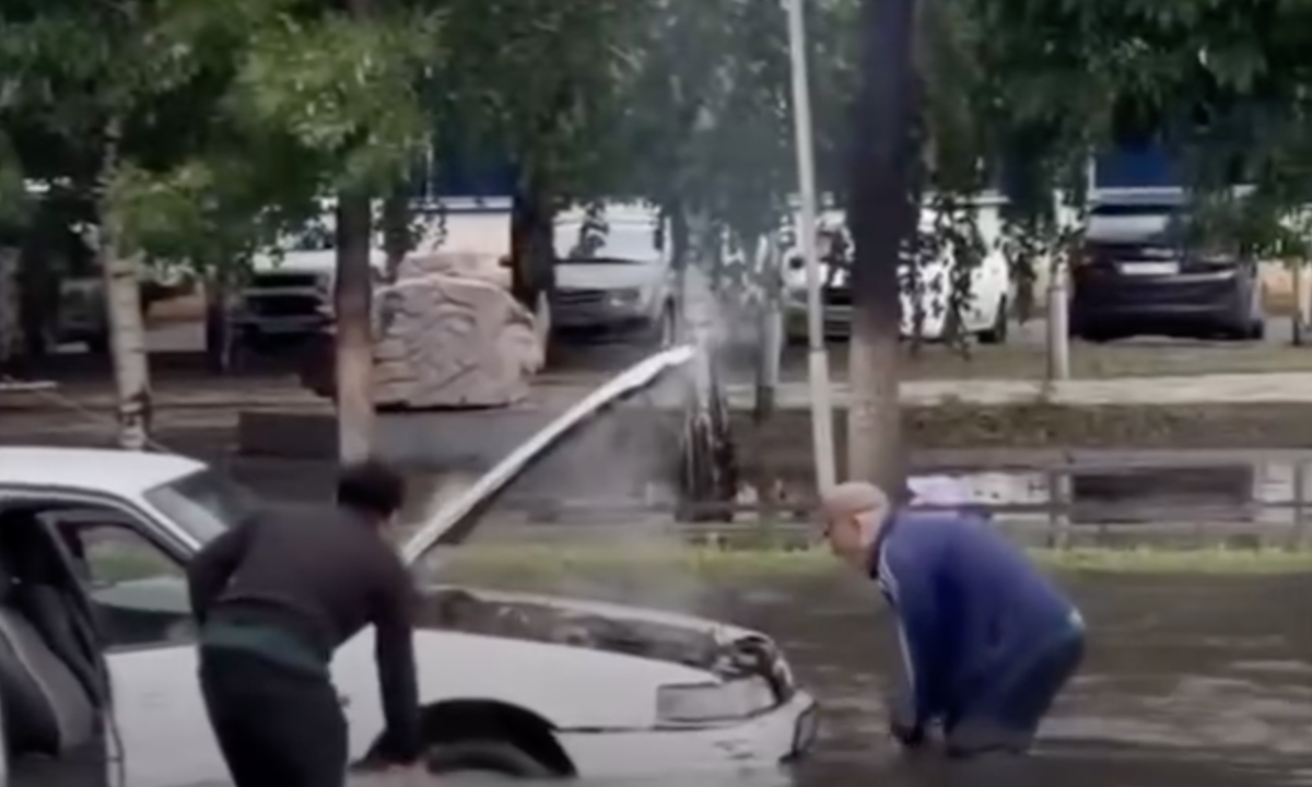 Фото: видеодан скрин