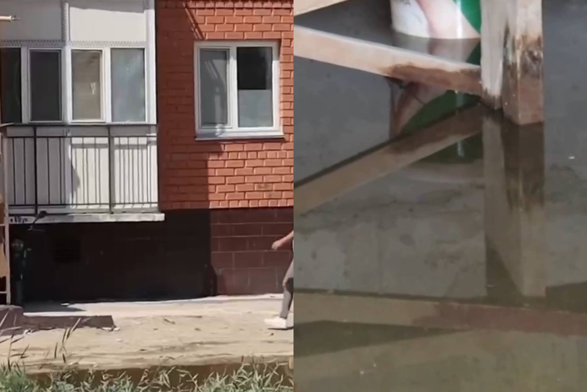 Фото: видеодан скрин
