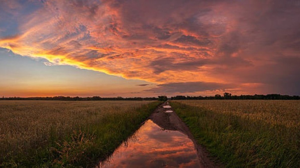 Фото: istockphoto