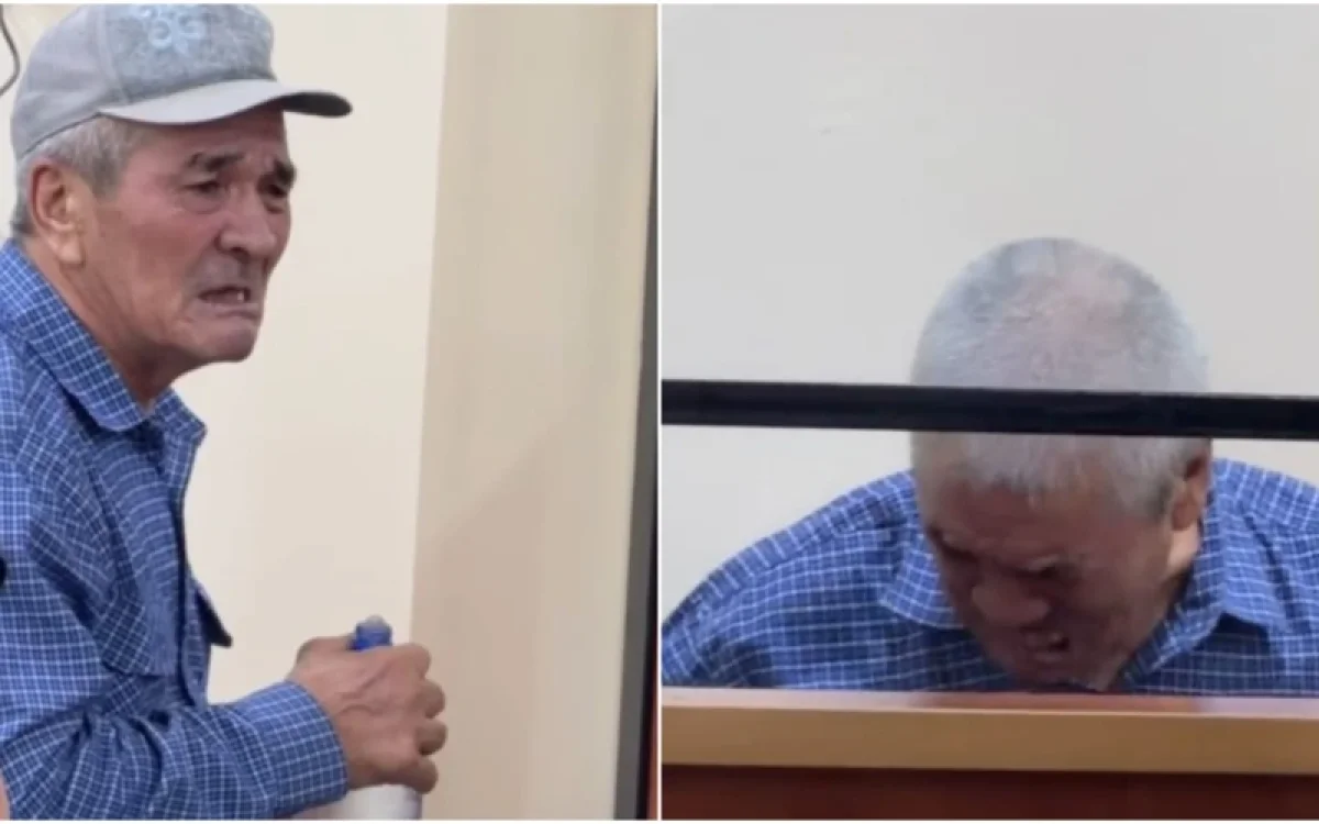 Фото: видео скриншот