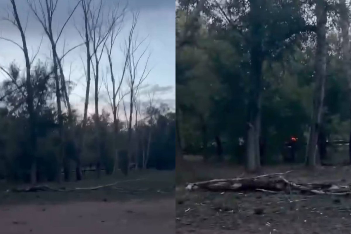 Фото: видеодан скрин